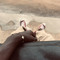 Idris Diarrassouba