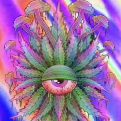N̷I̷C̷ S̷M̷A̷N̷