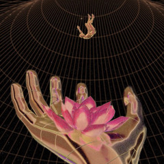 Kame Lotus