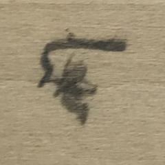 ArkenAvoa