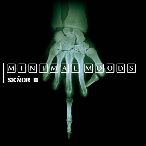 Minimal Moods’s avatar