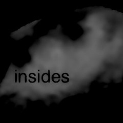 insides