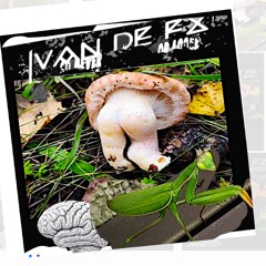 Van De FX