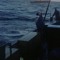 ell_ott