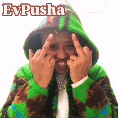EvPusha