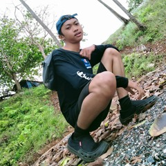 MIDS