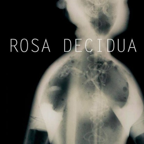 ROSA DECIDUA’s avatar