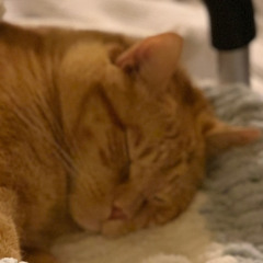 tobyH