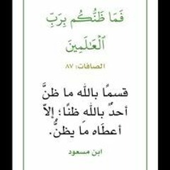 Sayed Abozoor