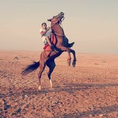 Sayed Abo Anas