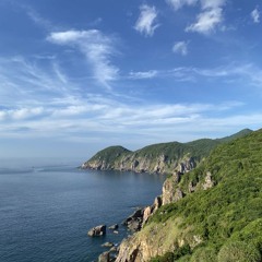 đtth_528