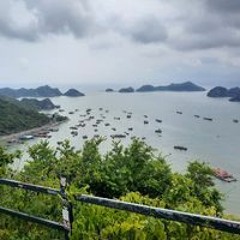 Nguyên Khang Null
