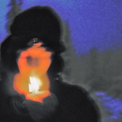 THE FELINES (PAGE 2)