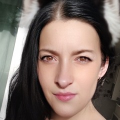 SlimKD