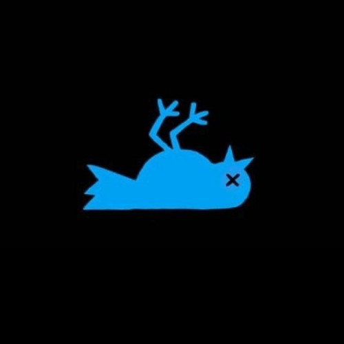 BlueJay’s avatar
