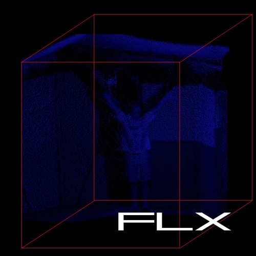 F L X’s avatar