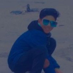 النمر النمر