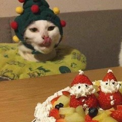 m i n t