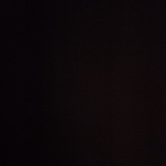 Bd