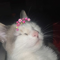 Moonlightidk