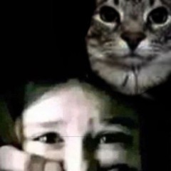 97nyctxphiliac