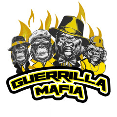 Guerrilla Ghost