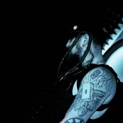 Cyberviking_Gala
