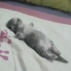 pondq