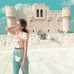 Haidy Hossam