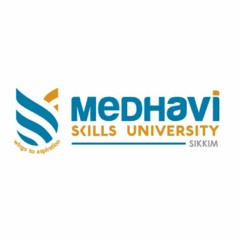 Medhavi Skill University