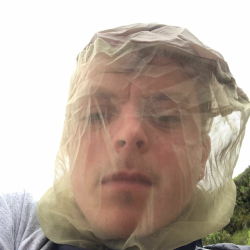 Stream Tune Collection Service Music Listen To Songs Albums