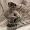 Lily..