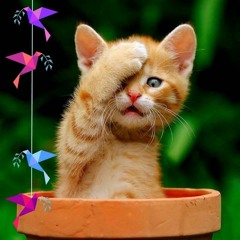 LK Tình Ca Quê Hương & Lối Về Đất Mẹ