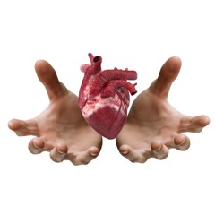 cxco