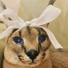 beo suesmaus