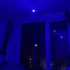 pheebsym