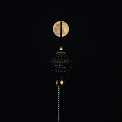 Ali🌒