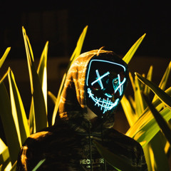 Dominique Willingham