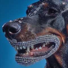 Ǐ̴̖ṁ̵̟ạ̸͊v̵͈̍i̸̯͐b̵͕̈é̴͉r̵͍͌