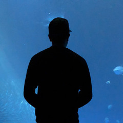 Red Velvet Room Productions