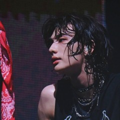 ‬귀여운 고양이