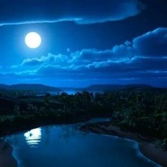 Night