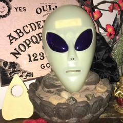 Secret Places of the Lion