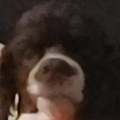 Terminator Theme Song Cover