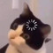 bnjmnptrwht