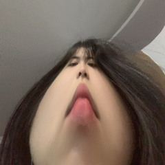 Chipmunk