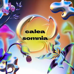 Calea Somnia