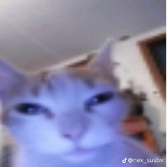 vang