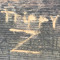 Tryppy Zem