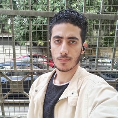 Ammar Yasser Mahdaly